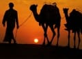 camel-arab.jpg