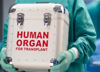 Human-Organ.jpg