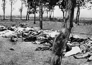 Armenian Genocide
Bodies in a field, a common scene across the Armenian provinces in 1915 .