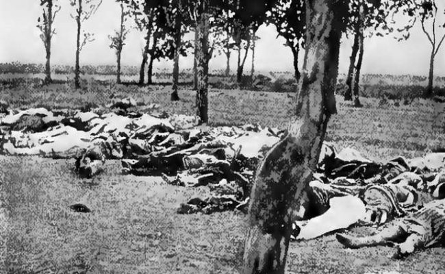 Armenian Genocide
Bodies in a field, a common scene across the Armenian provinces in 1915 .